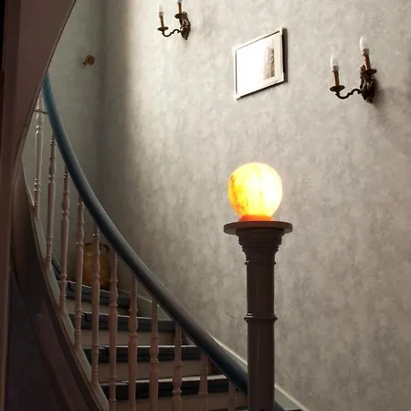 Hotel City Hotel